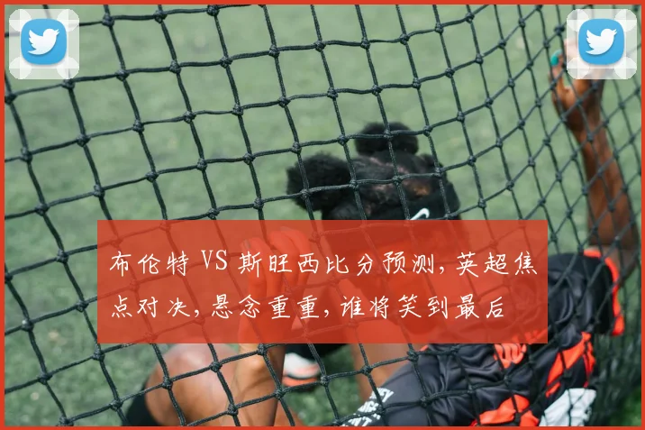 布伦特 VS 斯旺西比分预测,英超焦点对决,悬念重重,谁将笑到最后