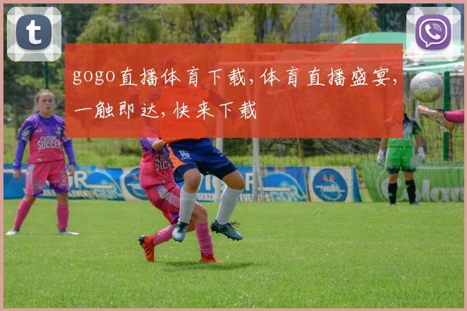 gogo直播体育下载,体育直播盛宴,一触即达,快来下载