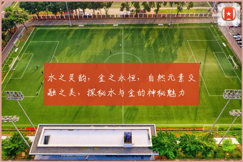 水之灵韵，金之永恒，自然元素交融之美，探秘水与金的神秘魅力