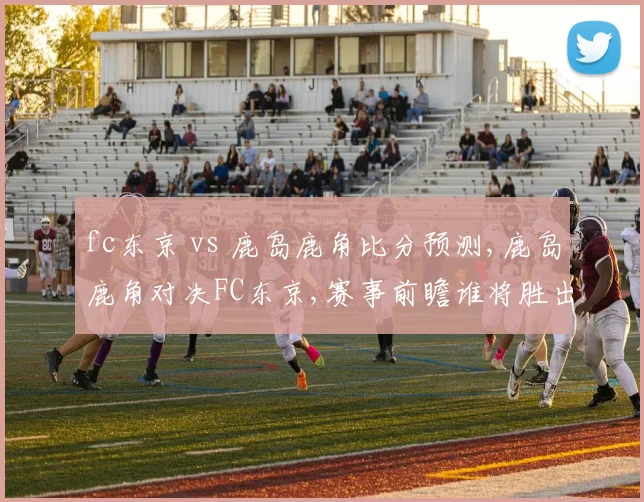 fc东京 vs 鹿岛鹿角比分预测,鹿岛鹿角对决FC东京,赛事前瞻谁将胜出